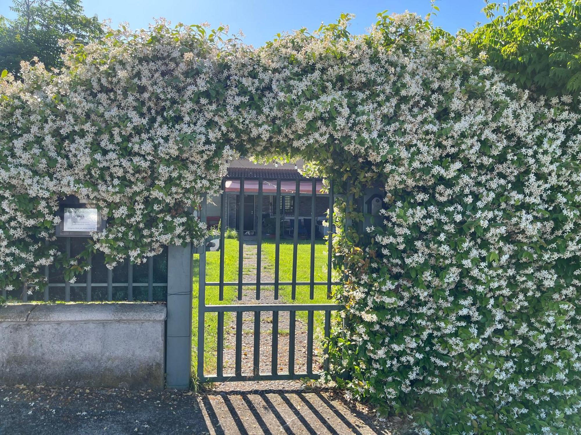 Вилла Garda Art&Garden Вольта-Мантована Экстерьер фото